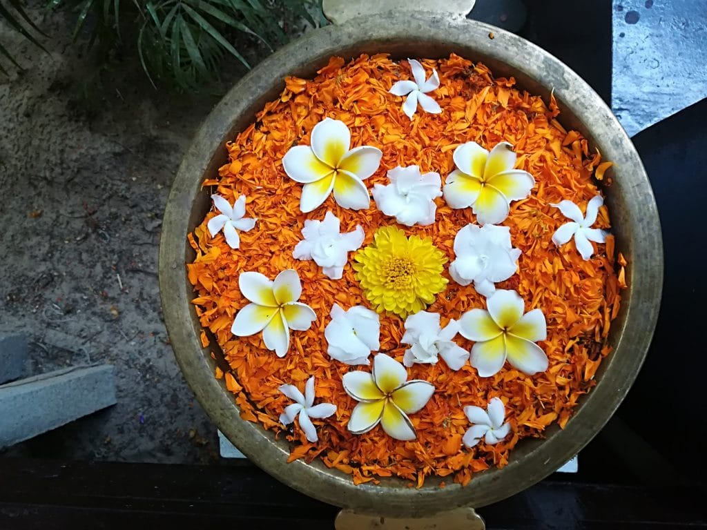 India Yoga Teacher Training Flowers